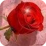 Hi am a good looking girl
