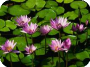 let be in contact and love each other victoriabugiber1@yahoo.com